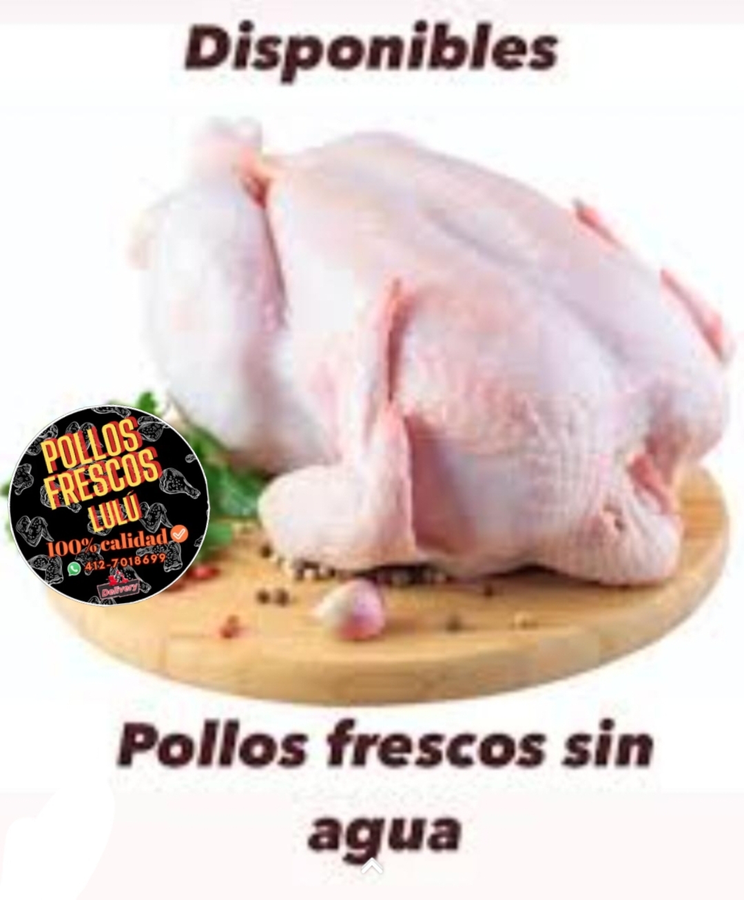 Pollos frescos